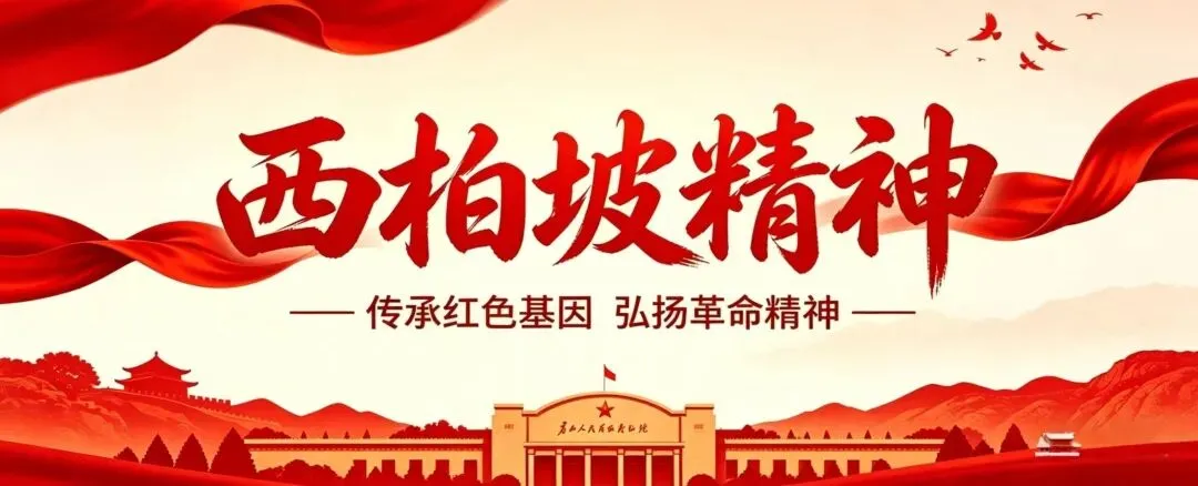 百姓看联播 | 晒晒河北“期中考”成绩单-第1张图片-四季读书网 百姓看联播 | 晒晒河北“期中考”成绩单-第1张图片-四季读书网
