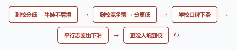 上海中考的名额分配到校到底是福利还是鸡肋?-第19张图片-四季读书网 上海中考的名额分配到校到底是福利还是鸡肋?-第19张图片-四季读书网