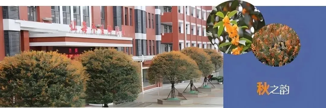 郴籍省内市外中考考生注意!补录我校流程一文看懂-第15张图片-四季读书网