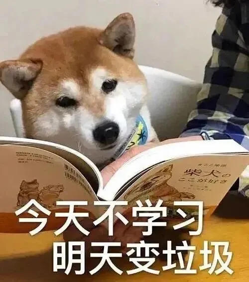 西安雅思考生必冲!8月全真纸笔模考来了-第3张图片-四季读书网 西安雅思考生必冲!8月全真纸笔模考来了-第3张图片-四季读书网