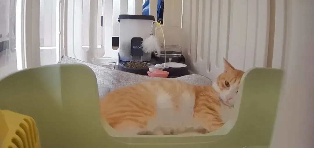 高校一则“告示”,登上语文试卷!这里有份“抄作业”等你打分-第8张图片-四季读书网 高校一则“告示”,登上语文试卷!这里有份“抄作业”等你打分-第8张图片-四季读书网
