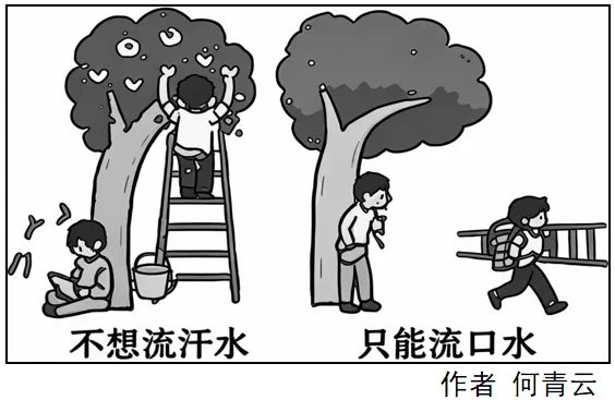2026年中考道德与法治真题解读解析-第35张图片-四季读书网 2026年中考道德与法治真题解读解析-第35张图片-四季读书网