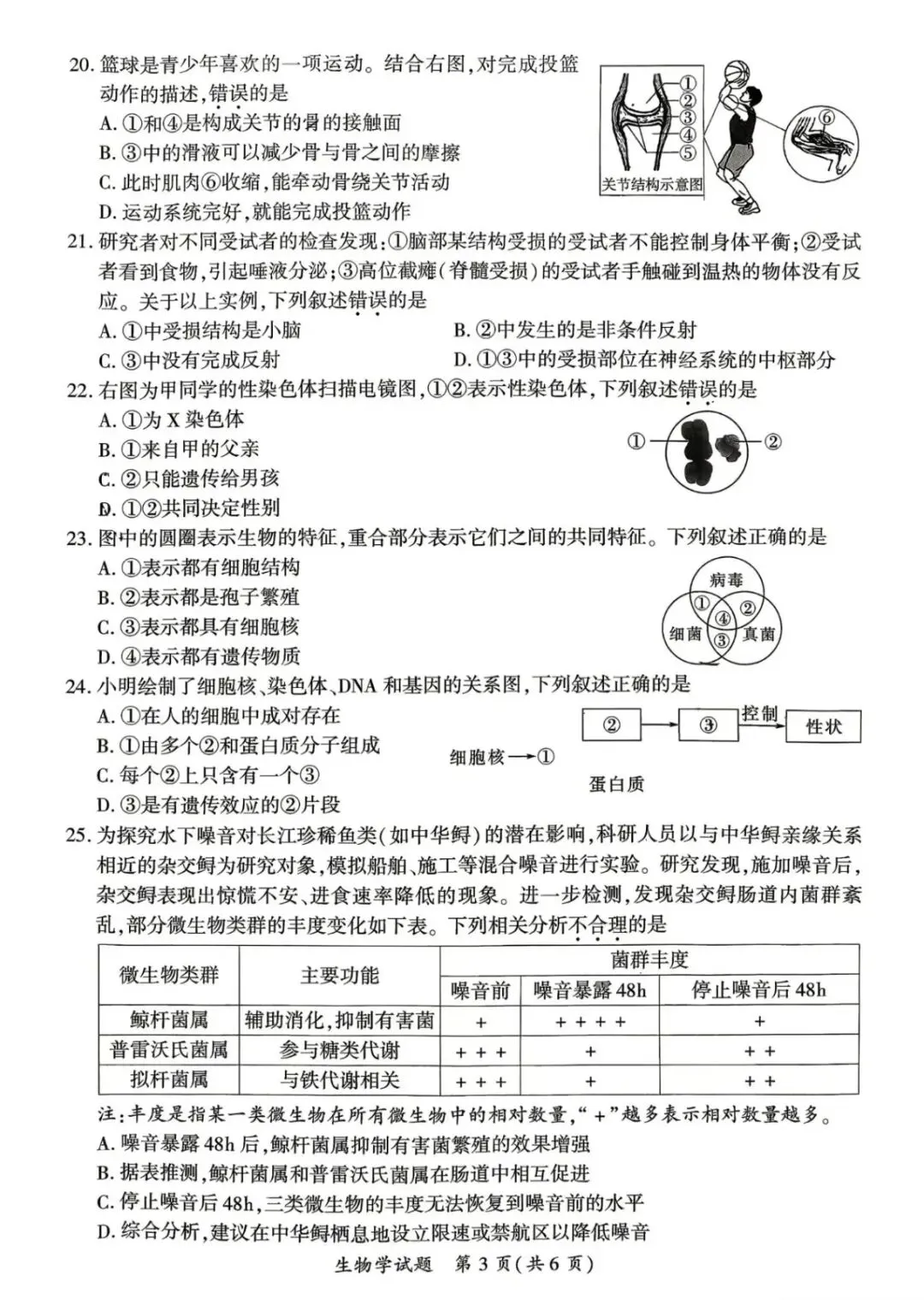 【生物】2026年厦门市初中毕业年级模拟考试(附答案)-第4张图片-四季读书网 【生物】2026年厦门市初中毕业年级模拟考试(附答案)-第4张图片-四季读书网
