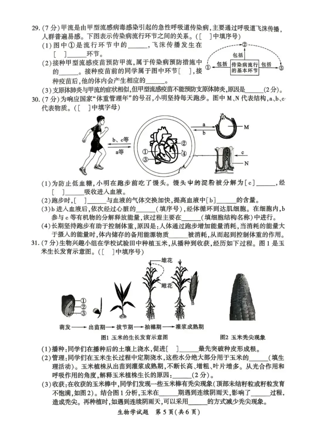 【生物】2026年厦门市初中毕业年级模拟考试(附答案)-第6张图片-四季读书网 【生物】2026年厦门市初中毕业年级模拟考试(附答案)-第6张图片-四季读书网