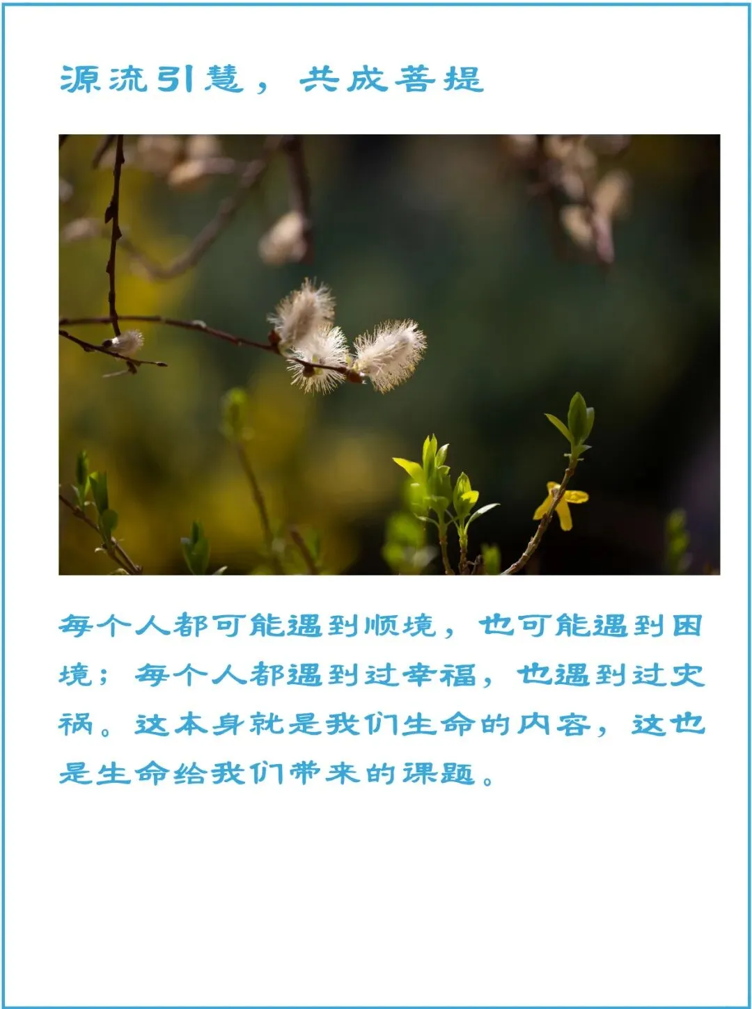 不能因为做错一道题而放弃整张试卷-第1张图片-四季读书网