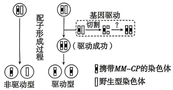 2026高考真题分类汇编(第1版)——基因工程专题-第12张图片-四季读书网