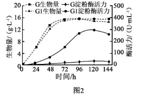 2026高考真题分类汇编(第1版)——基因工程专题-第18张图片-四季读书网