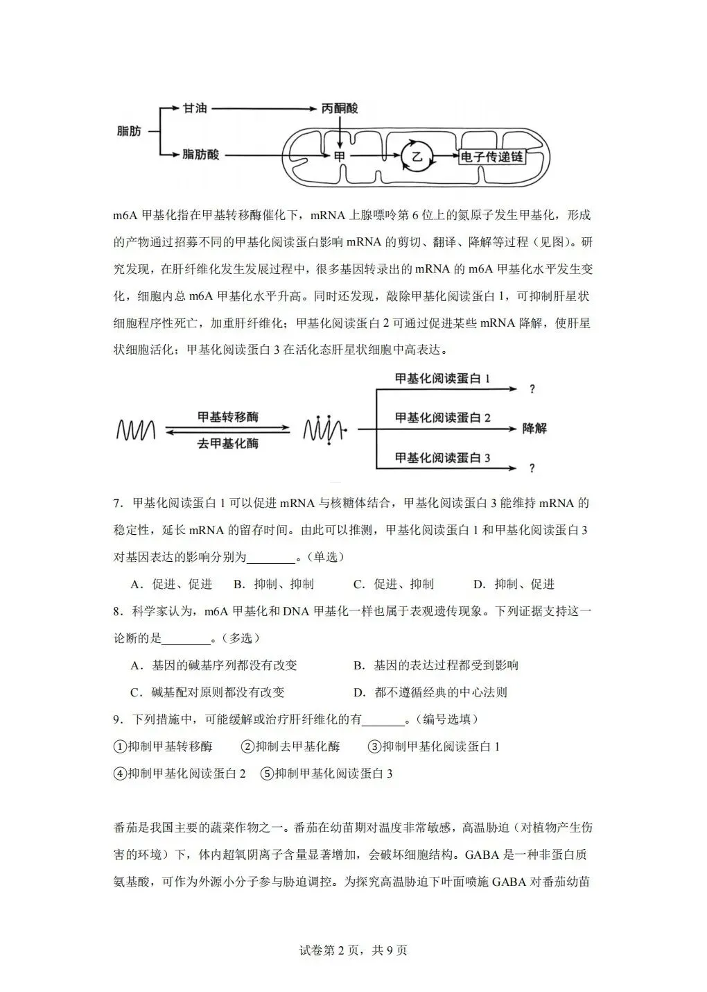 2026年静安区高二期末试卷-第2张图片-四季读书网