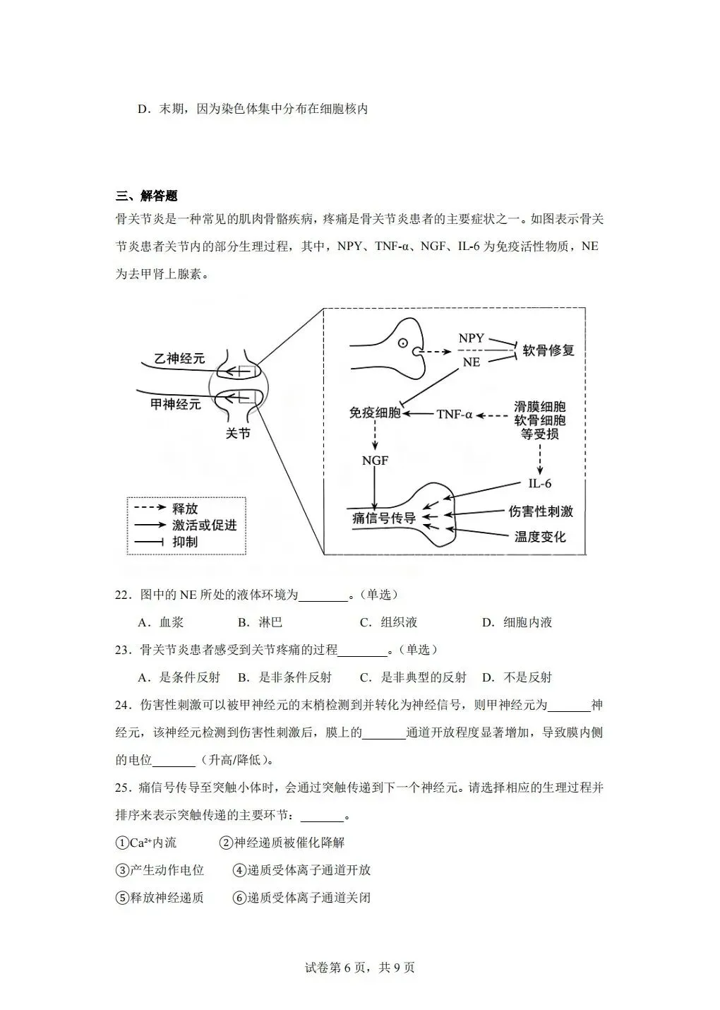 2026年静安区高二期末试卷-第6张图片-四季读书网