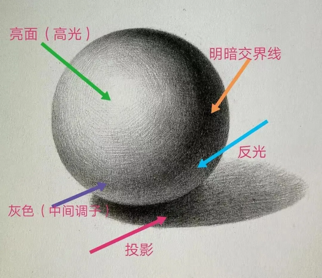 【中考美术专属预科班】开课与火热招募中-第18张图片-四季读书网 【中考美术专属预科班】开课与火热招募中-第18张图片-四季读书网