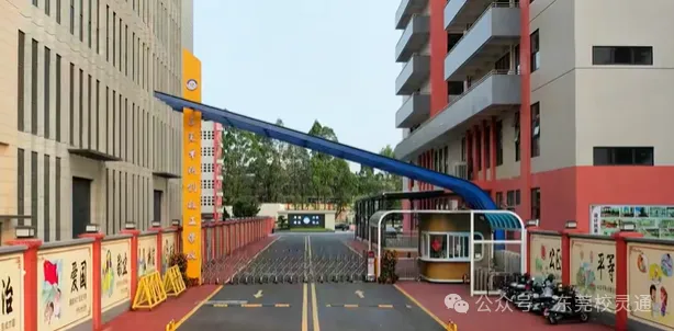 2026年东莞中考职校3 + 证书升学通道应如何选择|东莞市科创技工学校(免分数可升学)-第7张图片-四季读书网
