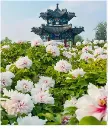 2026年山东省中考物理试卷(统考卷)-第1张图片-四季读书网