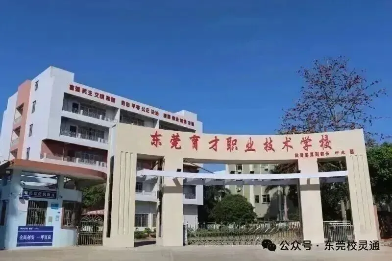 2026年东莞中考职校3 + 证书升学通道应如何选择|东莞市育才职业技术学校(免分数可升学)-第7张图片-四季读书网