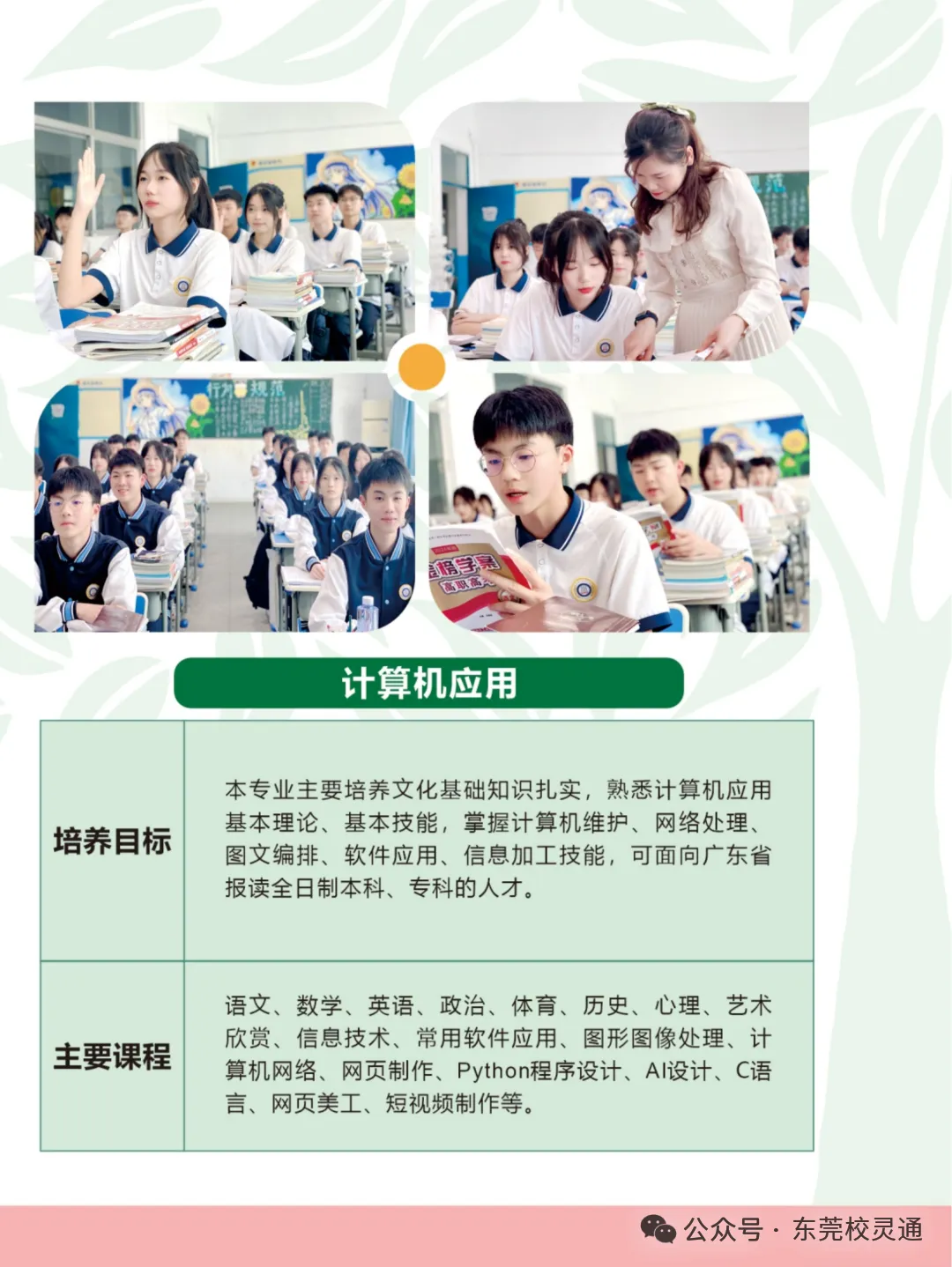 2026年东莞中考职校3 + 证书升学通道应如何选择|东莞市育才职业技术学校(免分数可升学)-第12张图片-四季读书网