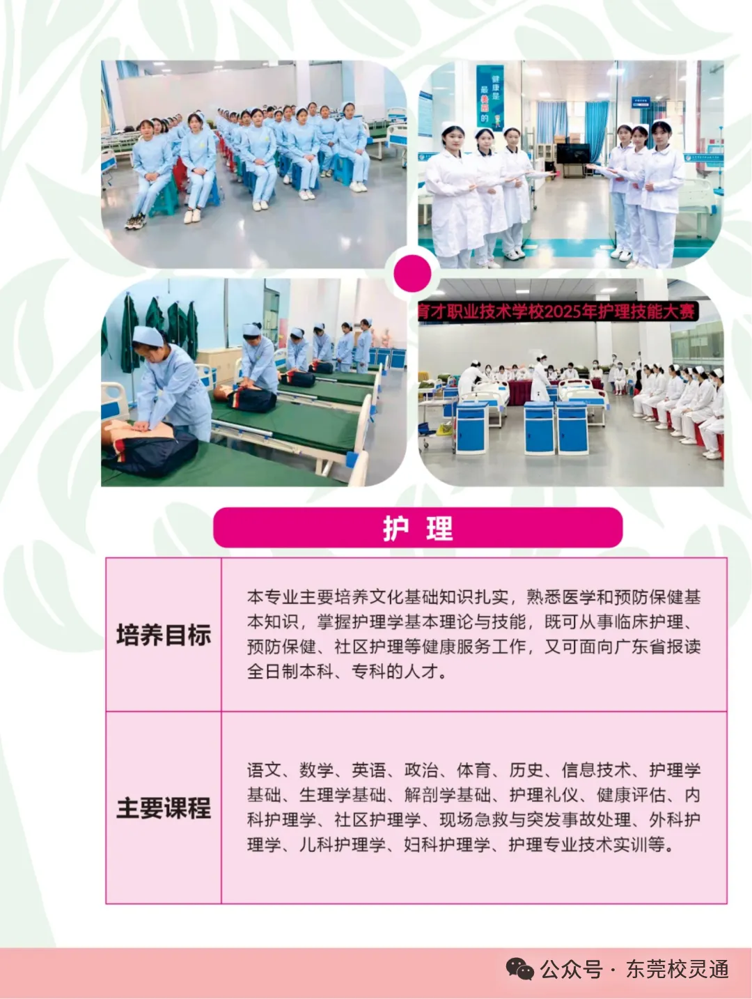 2026年东莞中考职校3 + 证书升学通道应如何选择|东莞市育才职业技术学校(免分数可升学)-第13张图片-四季读书网