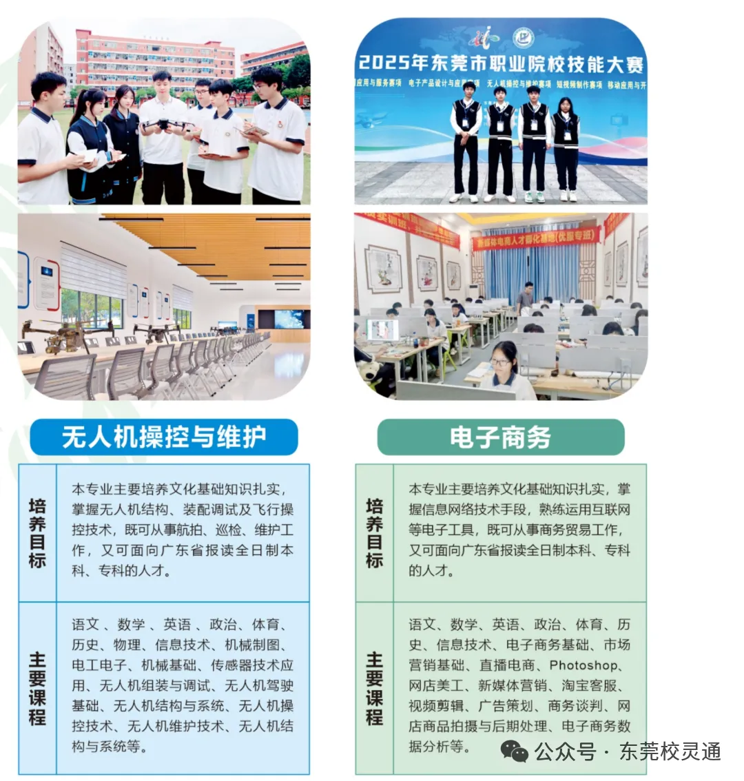 2026年东莞中考职校3 + 证书升学通道应如何选择|东莞市育才职业技术学校(免分数可升学)-第14张图片-四季读书网