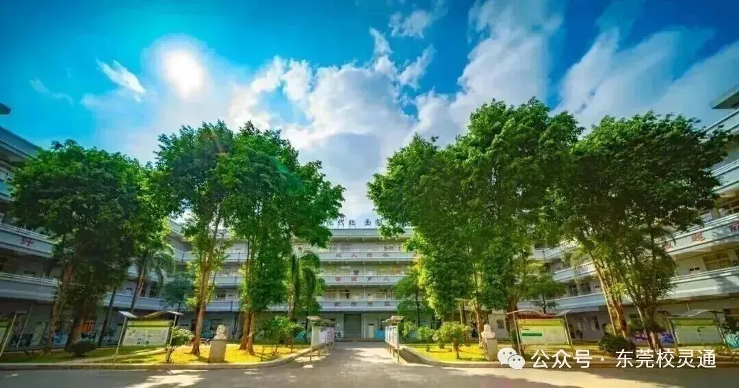 2026年东莞中考职校3 + 证书升学通道应如何选择|东莞市五星职业技术学校(免分数可升学)-第11张图片-四季读书网 2026年东莞中考职校3 + 证书升学通道应如何选择|东莞市五星职业技术学校(免分数可升学)-第11张图片-四季读书网