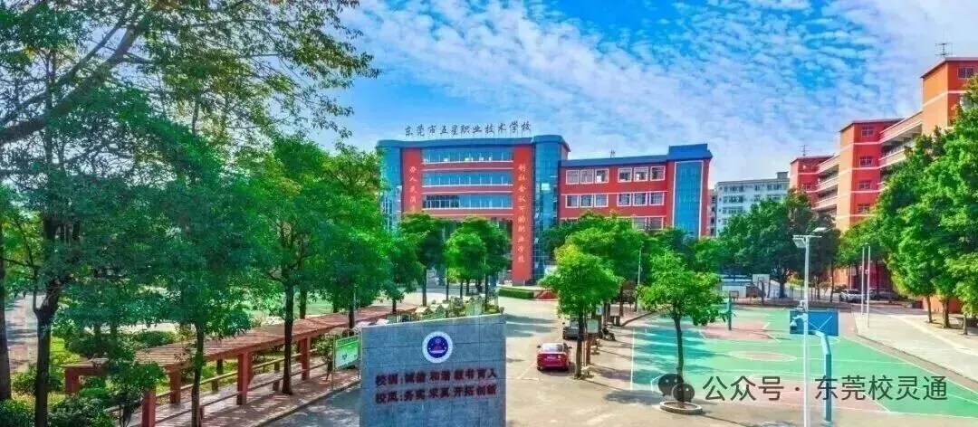 2026年东莞中考职校3 + 证书升学通道应如何选择|东莞市五星职业技术学校(免分数可升学)-第12张图片-四季读书网 2026年东莞中考职校3 + 证书升学通道应如何选择|东莞市五星职业技术学校(免分数可升学)-第12张图片-四季读书网