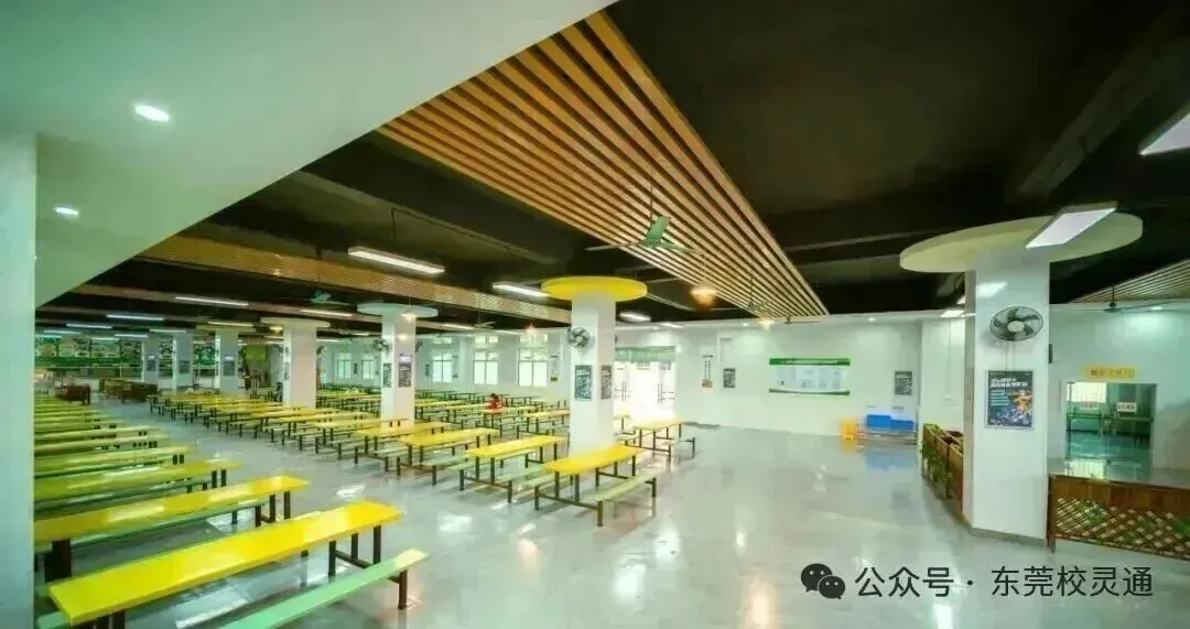 2026年东莞中考职校3 + 证书升学通道应如何选择|东莞市五星职业技术学校(免分数可升学)-第13张图片-四季读书网 2026年东莞中考职校3 + 证书升学通道应如何选择|东莞市五星职业技术学校(免分数可升学)-第13张图片-四季读书网