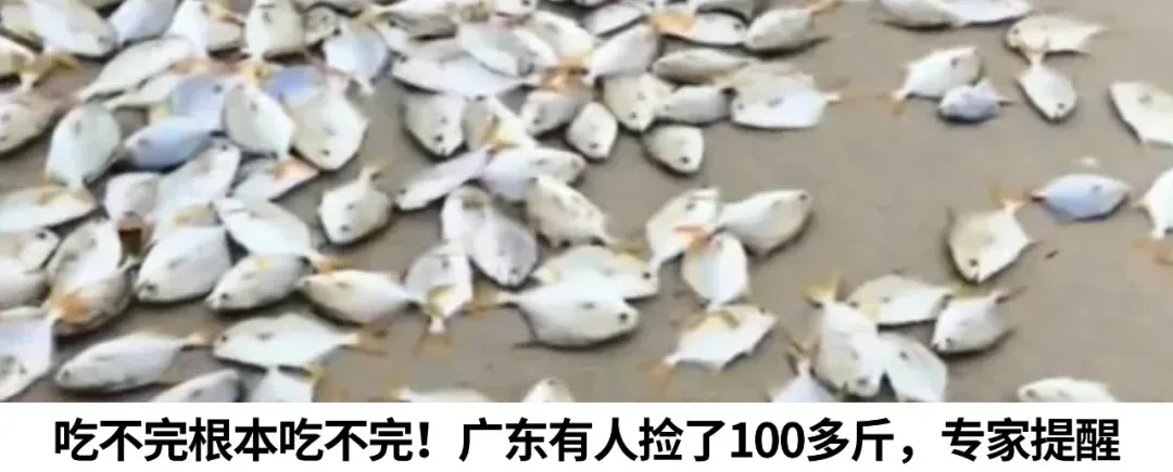 广州男生中考629分放弃高中去中职读烹饪:10岁开始做饭,放假承包一日三餐,妈妈:说不定能去白天鹅宾馆当大厨-第11张图片-四季读书网