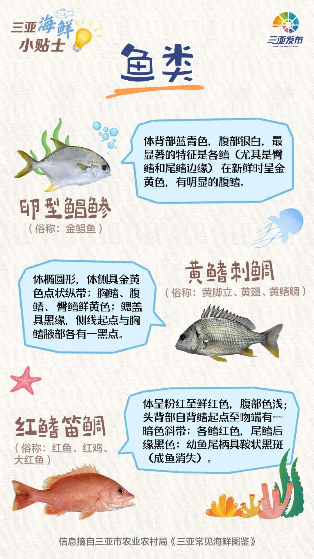 2026年三亚市中考第一批指标到校投档分数线(一)(二)(三)(四)(五)(六)-第7张图片-四季读书网