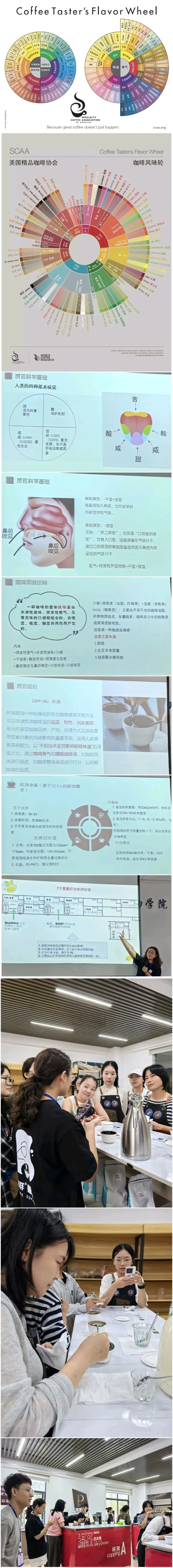 咖啡感官与训练、咖啡杯测练习、模拟考试-第2张图片-四季读书网