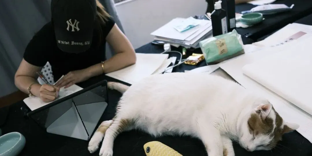暑期第四周模拟考试通知!| 乔东书院·2027全程班书法考研集训营-第18张图片-四季读书网 暑期第四周模拟考试通知!| 乔东书院·2027全程班书法考研集训营-第18张图片-四季读书网