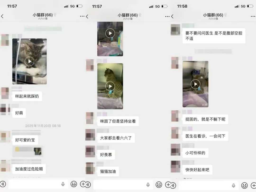 大连理工大学东门一则“告示”,登上语文试卷-第10张图片-四季读书网 大连理工大学东门一则“告示”,登上语文试卷-第10张图片-四季读书网