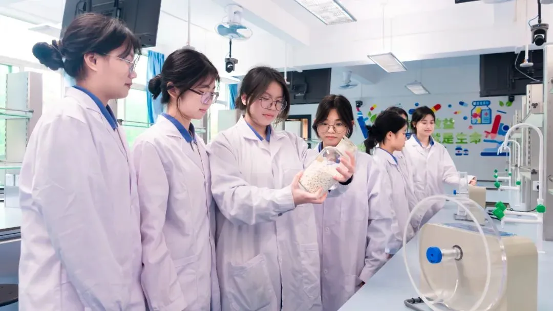 中考录取 | 广东省新兴中药学校中考录取分数-第19张图片-四季读书网 中考录取 | 广东省新兴中药学校中考录取分数-第19张图片-四季读书网