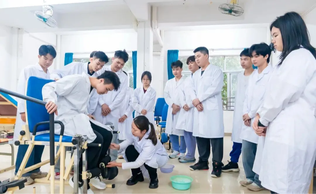 中考录取 | 广东省新兴中药学校中考录取分数-第29张图片-四季读书网 中考录取 | 广东省新兴中药学校中考录取分数-第29张图片-四季读书网