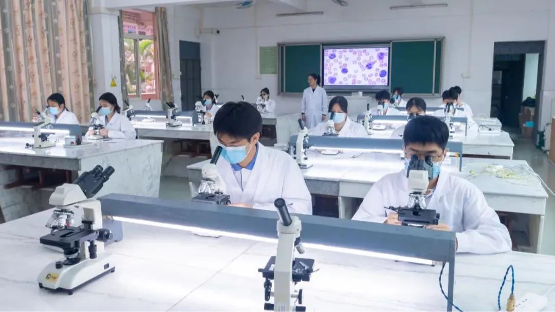 中考录取 | 广东省新兴中药学校中考录取分数-第33张图片-四季读书网 中考录取 | 广东省新兴中药学校中考录取分数-第33张图片-四季读书网
