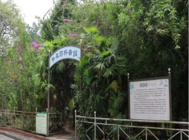 中考录取 | 广东省新兴中药学校中考录取分数-第51张图片-四季读书网 中考录取 | 广东省新兴中药学校中考录取分数-第51张图片-四季读书网