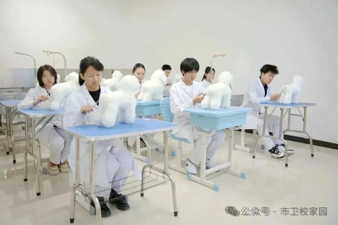 中考后如何选专业?学医前景广阔!黑龙江龙卫医药医护中专2026招生开启-第15张图片-四季读书网 中考后如何选专业?学医前景广阔!黑龙江龙卫医药医护中专2026招生开启-第15张图片-四季读书网