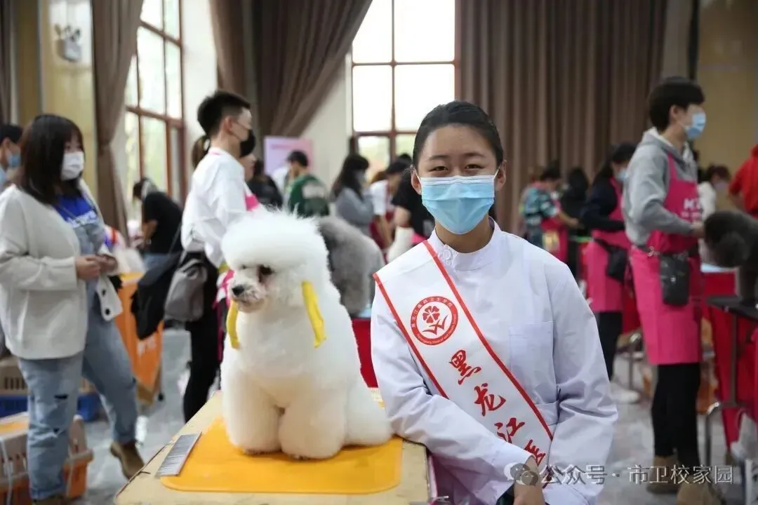 中考后如何选专业?学医前景广阔!黑龙江龙卫医药医护中专2026招生开启-第16张图片-四季读书网 中考后如何选专业?学医前景广阔!黑龙江龙卫医药医护中专2026招生开启-第16张图片-四季读书网