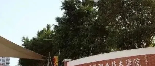 2026年深圳市中考第一批录取分数线出炉!-第28张图片-四季读书网