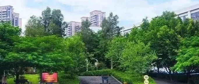 2026年深圳市中考第一批录取分数线出炉!-第31张图片-四季读书网