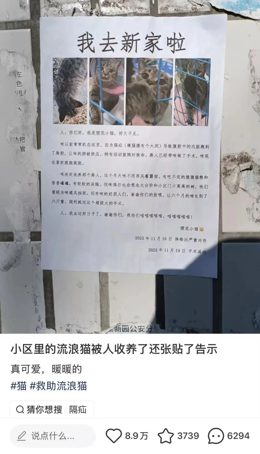 热点 | 高校一则“告示”,登上语文试卷!-第4张图片-四季读书网 热点 | 高校一则“告示”,登上语文试卷!-第4张图片-四季读书网
