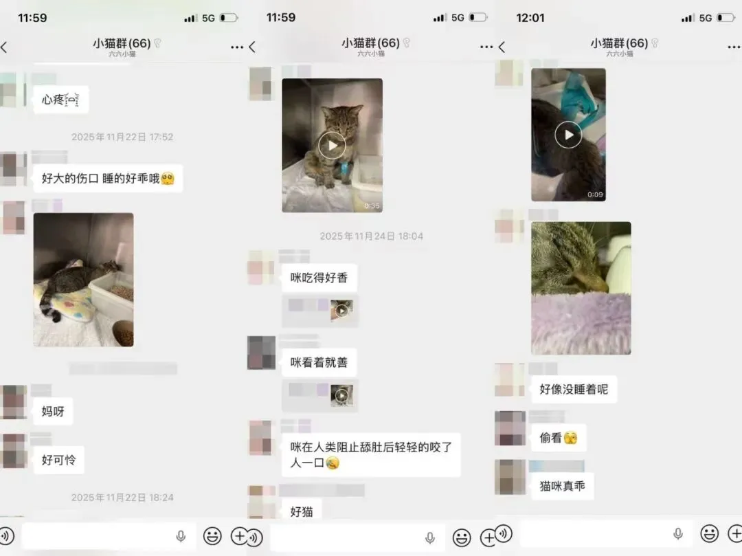 热点 | 高校一则“告示”,登上语文试卷!-第15张图片-四季读书网 热点 | 高校一则“告示”,登上语文试卷!-第15张图片-四季读书网