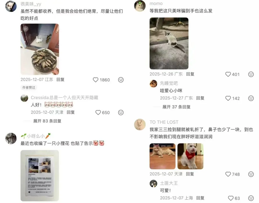 热点 | 高校一则“告示”,登上语文试卷!-第17张图片-四季读书网 热点 | 高校一则“告示”,登上语文试卷!-第17张图片-四季读书网