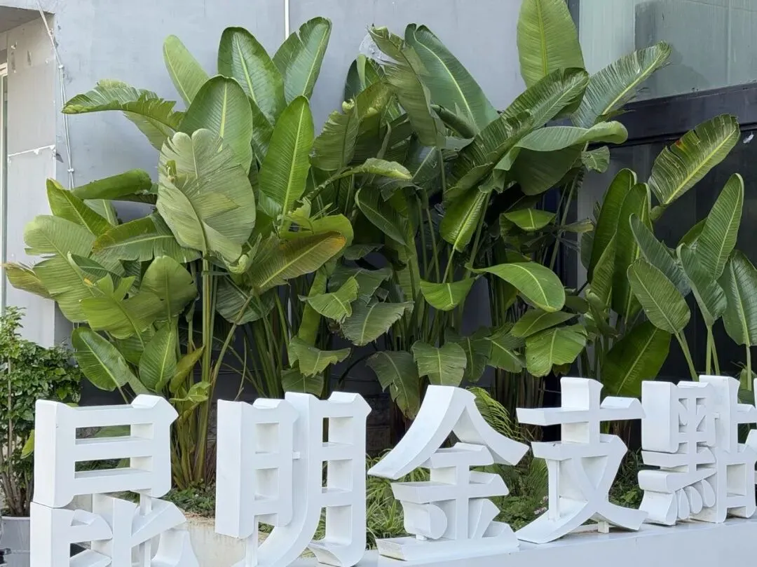 中考录取尾声|上岸后如何规划?未录取还有哪些出路?-第5张图片-四季读书网