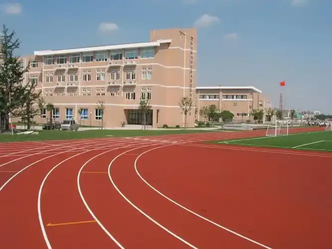 中考710.5分进曹二:从"范进中举"到"哭完就好",一位高行女生的初三突围全记录-第3张图片-四季读书网 中考710.5分进曹二:从"范进中举"到"哭完就好",一位高行女生的初三突围全记录-第3张图片-四季读书网