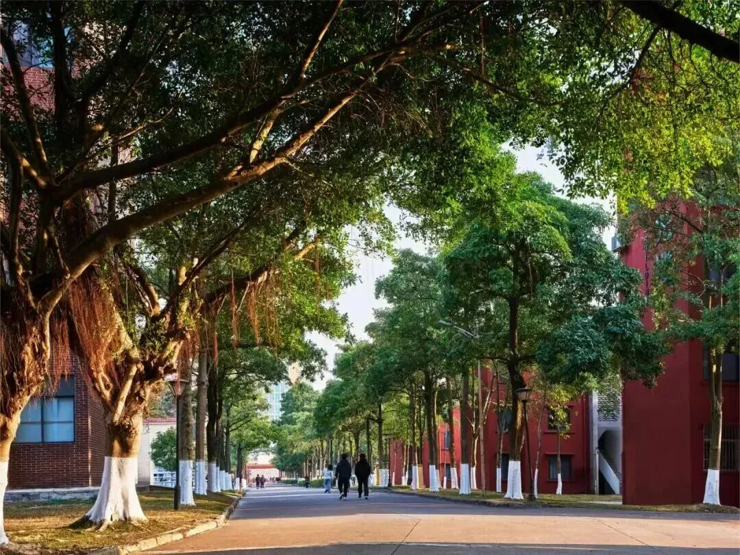 浦北中考考生C等级起可报钦州英华高中,正规普高学籍!平价学费享南宁名校资源!-第21张图片-四季读书网 浦北中考考生C等级起可报钦州英华高中,正规普高学籍!平价学费享南宁名校资源!-第21张图片-四季读书网