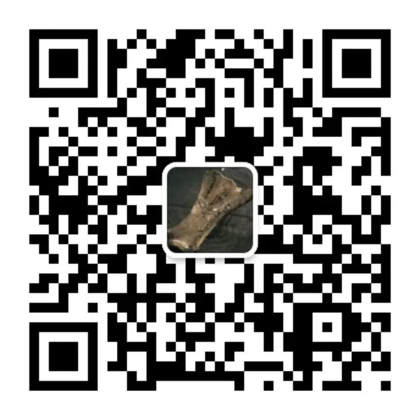 2026 高考试卷里的安阳文脉,这些 “安阳考题” 你会做吗?-第24张图片-四季读书网 2026 高考试卷里的安阳文脉,这些 “安阳考题” 你会做吗?-第24张图片-四季读书网