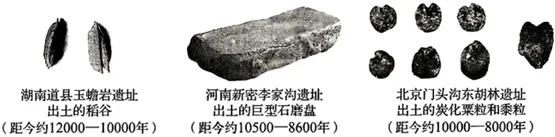 2026年中考历史真题分类汇编(史前时期)-第7张图片-四季读书网