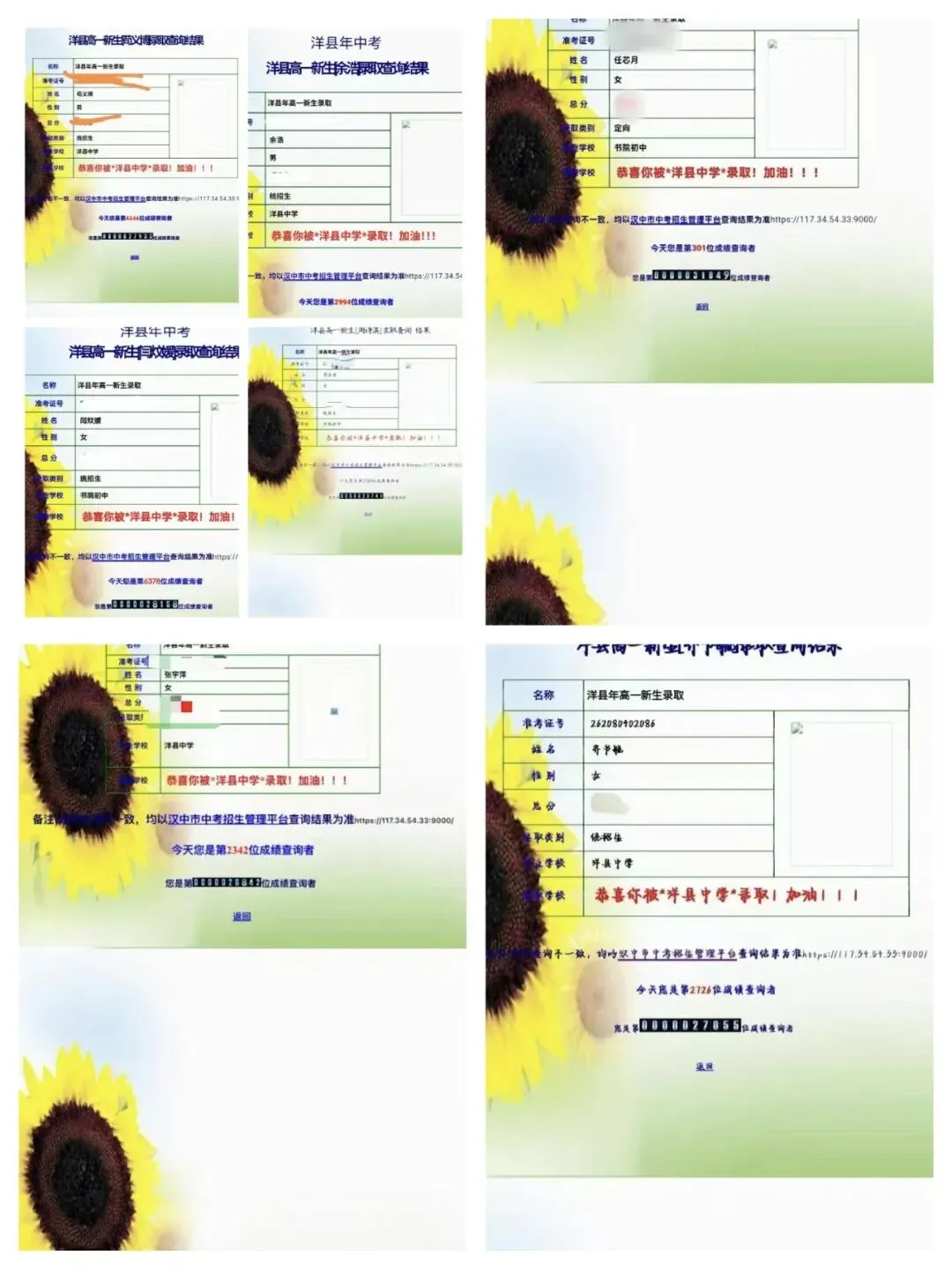 起航教育2026年中考火爆收官,一中录取人数再创新高!-第12张图片-四季读书网
