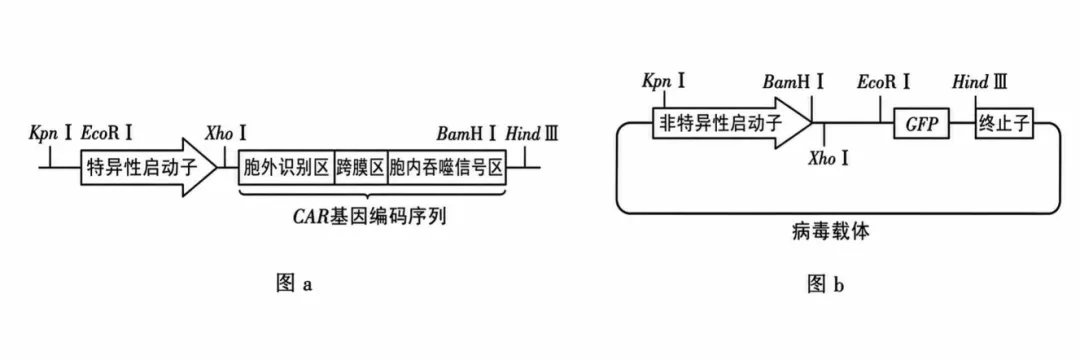 2026高考真题分类汇编(第1版)——选择性必修3综合-第3张图片-四季读书网 2026高考真题分类汇编(第1版)——选择性必修3综合-第3张图片-四季读书网