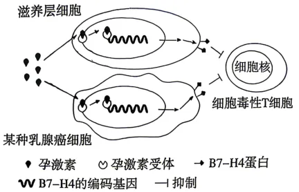 2026高考真题分类汇编(第1版)——胚胎工程-第1张图片-四季读书网
