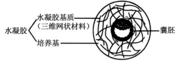 2026高考真题分类汇编(第1版)——胚胎工程-第2张图片-四季读书网