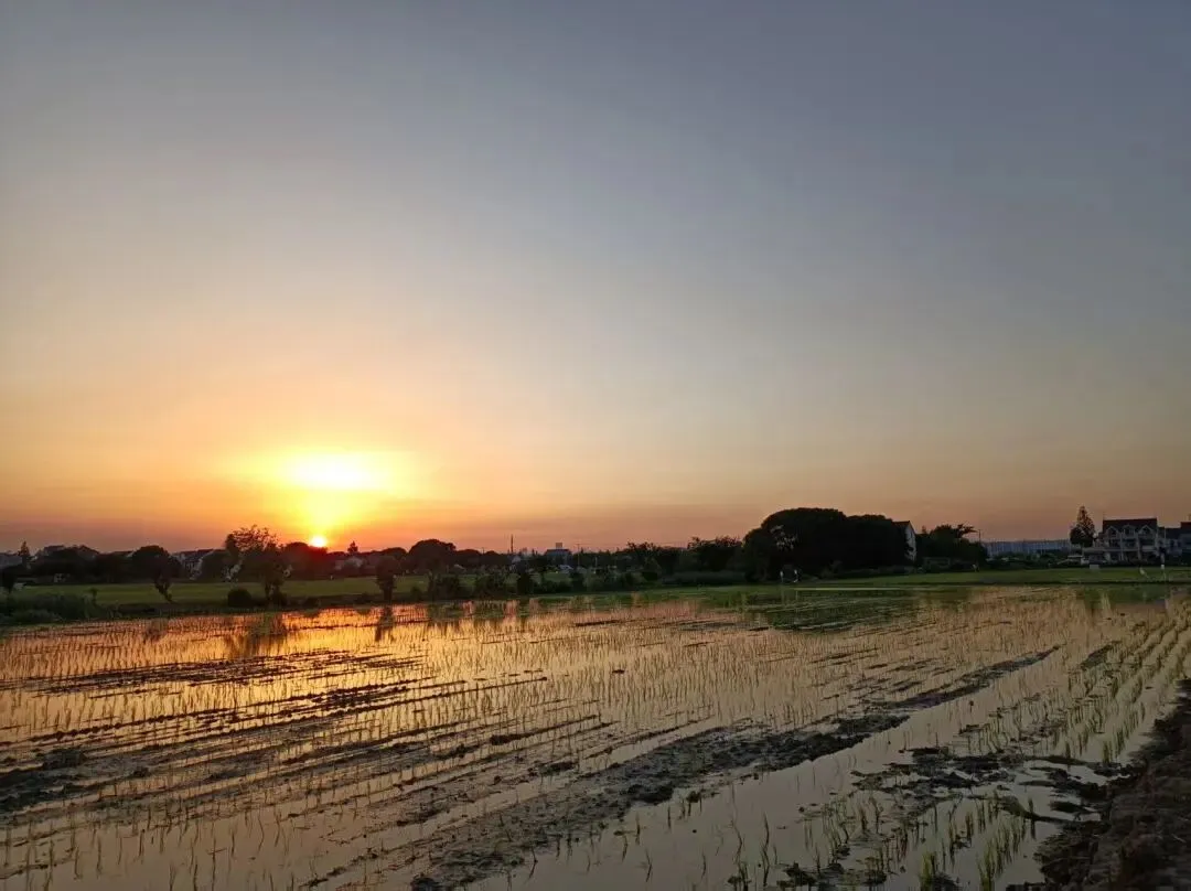 小家喧嚣 | 从中考透视家庭的预期、内耗与边界——6月总结【2026】-第2张图片-四季读书网 小家喧嚣 | 从中考透视家庭的预期、内耗与边界——6月总结【2026】-第2张图片-四季读书网
