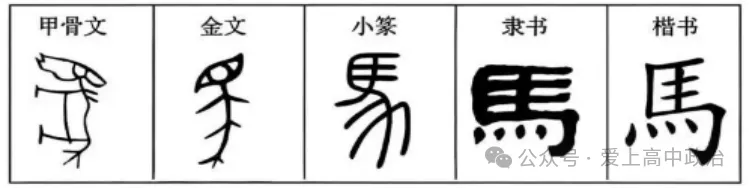 2026年山东省高考政治真题及答案-第2张图片-四季读书网 2026年山东省高考政治真题及答案-第2张图片-四季读书网